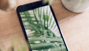 Read more about the article Simple Demo Import & Easy to Customize