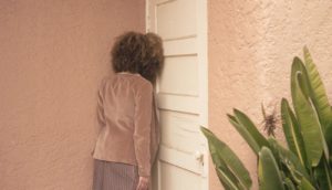 Read more about the article Tons of Cool Shortcodes