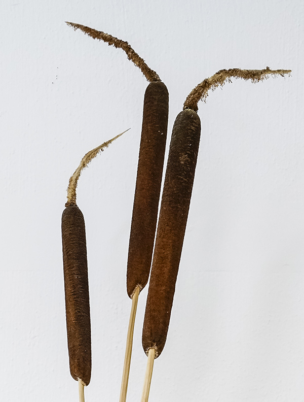 shop-img-1-gallery-4 a