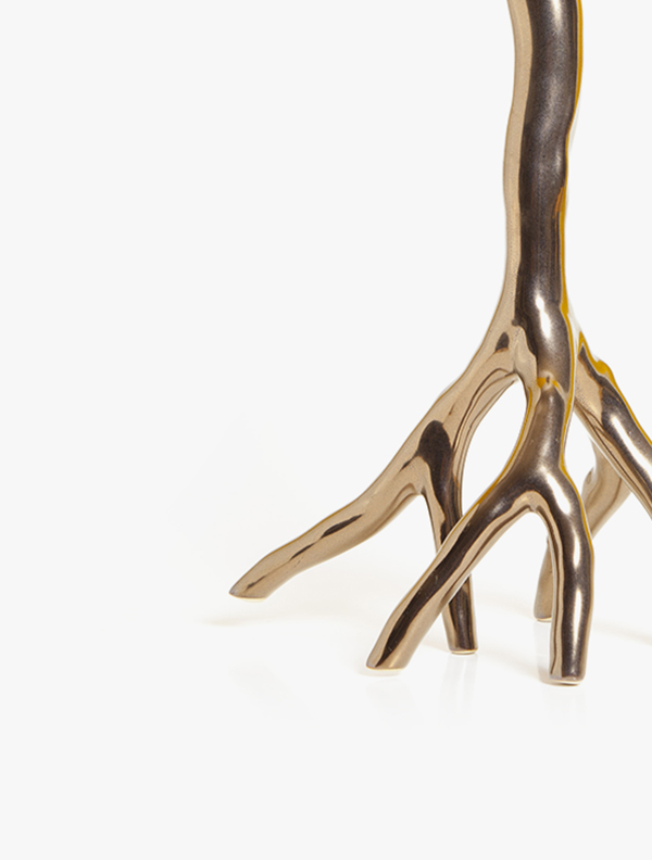 shop-img-6-gallery-1 a