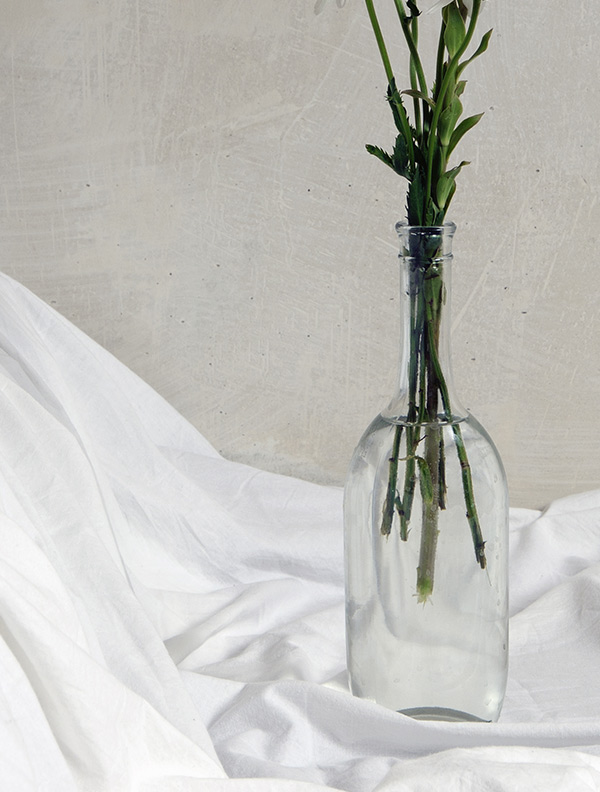 shop-img-8-gallery-1 a