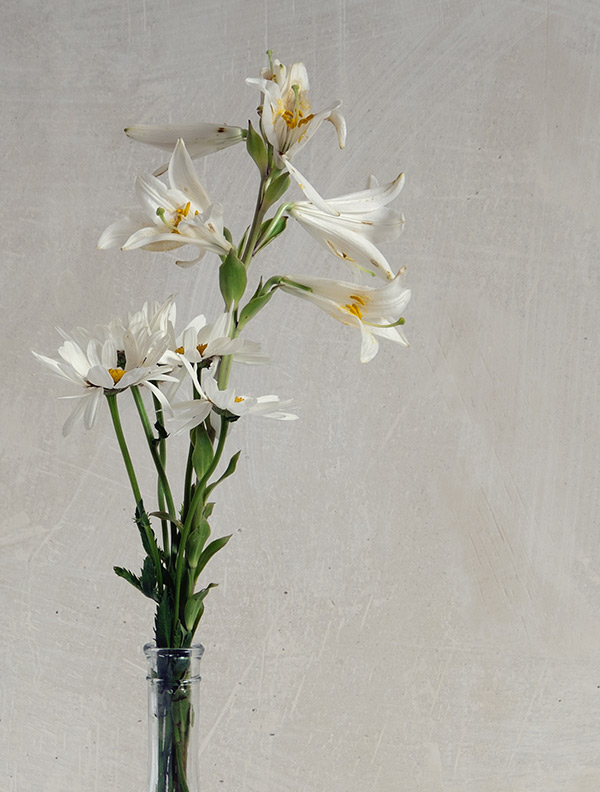 shop-img-8-gallery-2 a