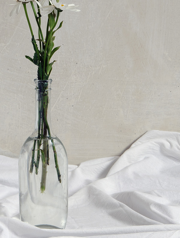 shop-img-8-gallery-3 a