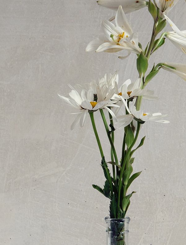 shop-img-8-gallery-4 a